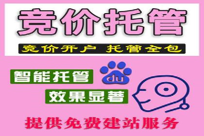 某企业通过百度推广服务费实现品牌飞跃